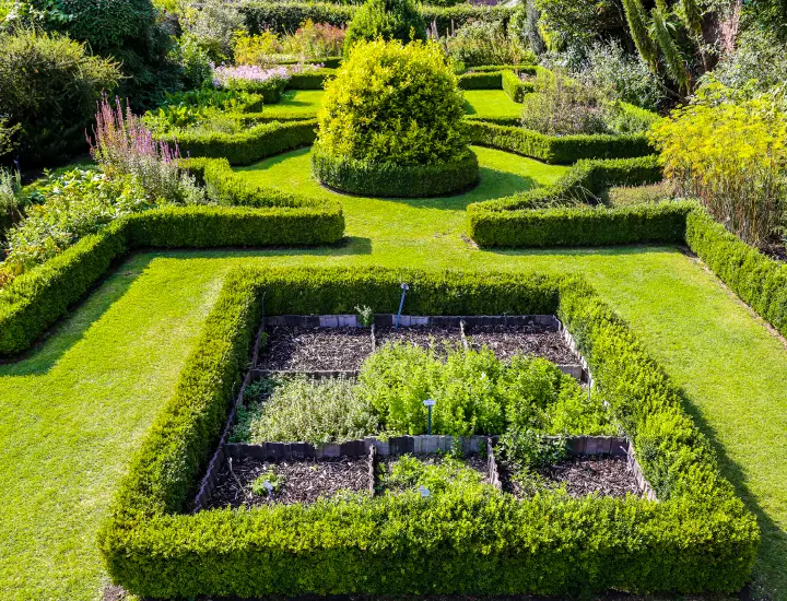 aerial view garden