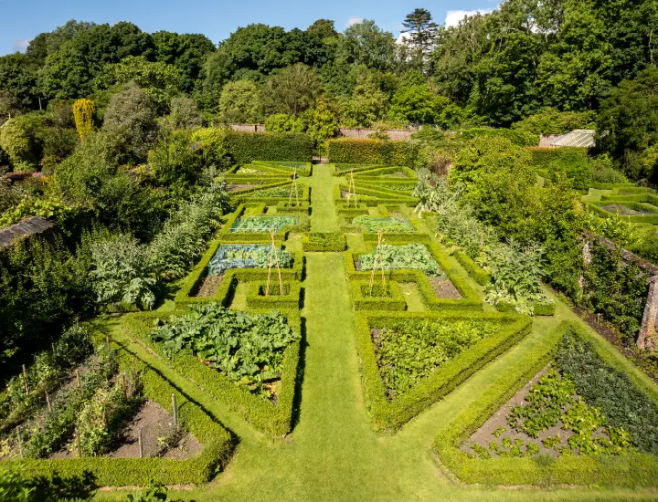 aerial view of garden