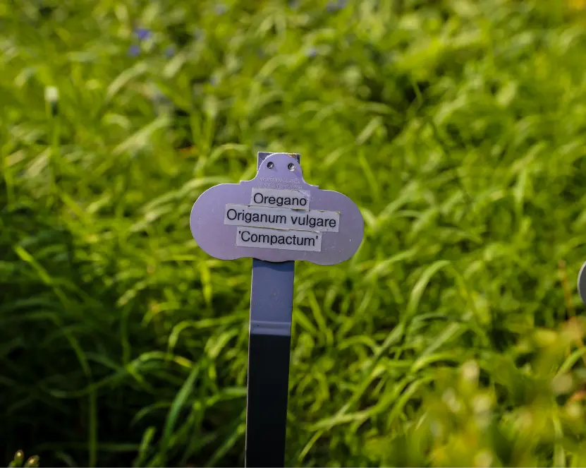 The Gardens & Demense oregano signage