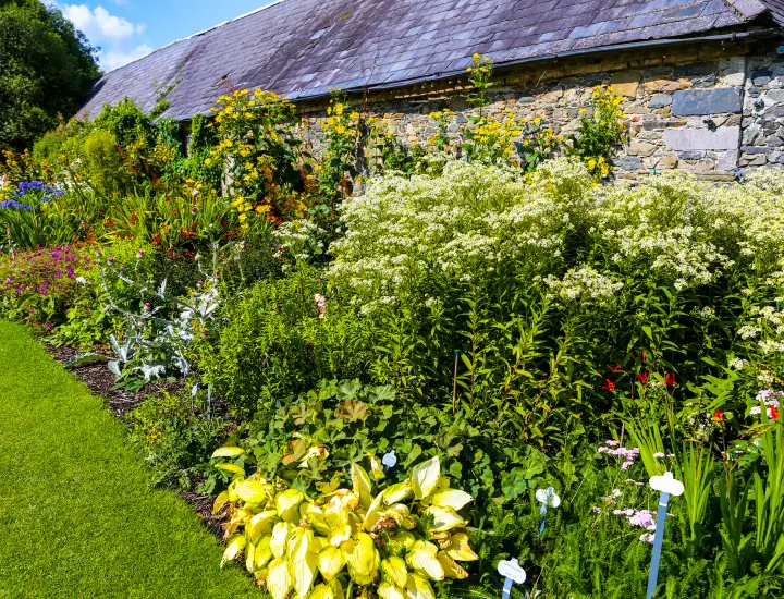 flower beds