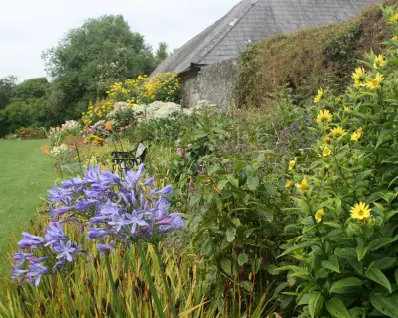 autumn flower bed