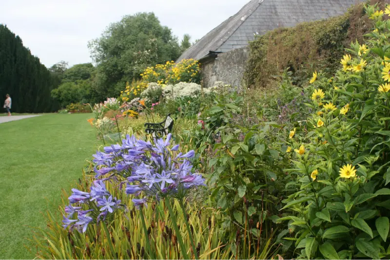 flowers in the Garden at Ardgillan Castle