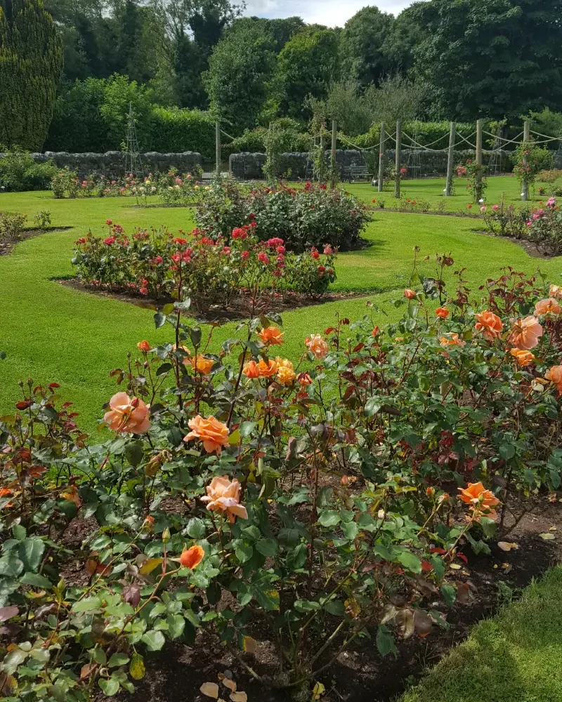 Garden at Ardgillan Castle