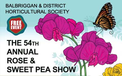 Rose & Sweet Pea Show feature