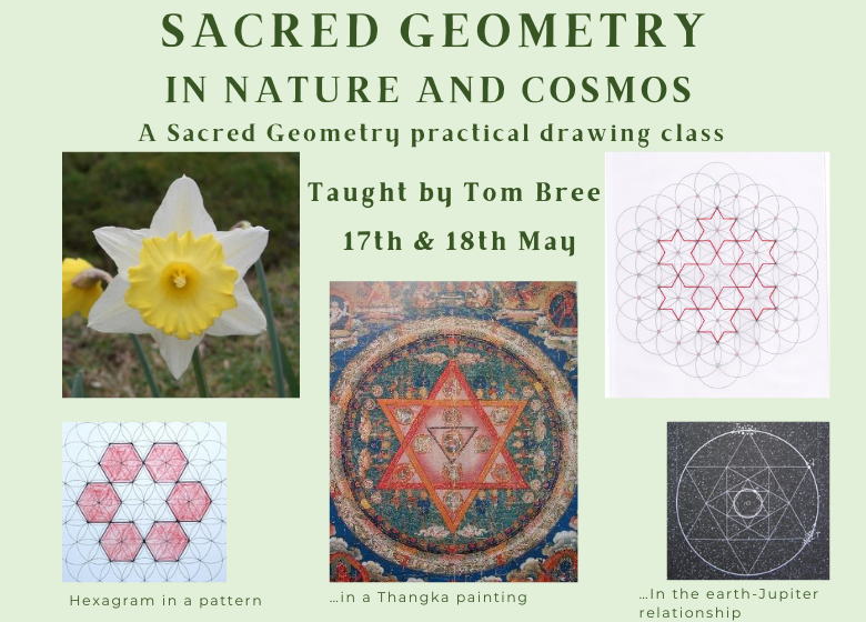 Sacred Geometry In Nature and Cosmos A Sacred Geometry practical drawing class