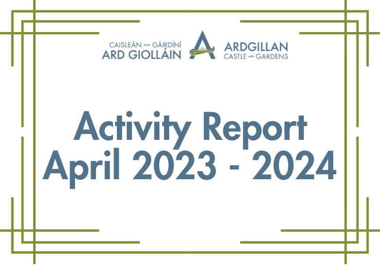 Activity Report